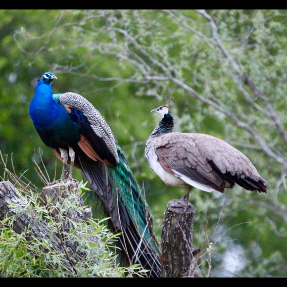 Meet your Posher, Sandi - Picture 11 of 16